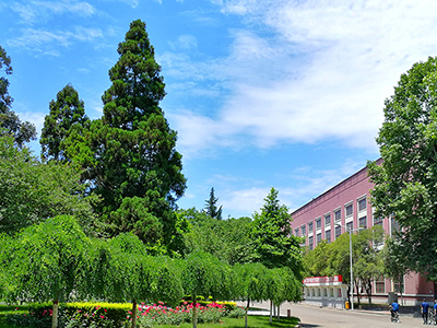 Jardín de la fábrica